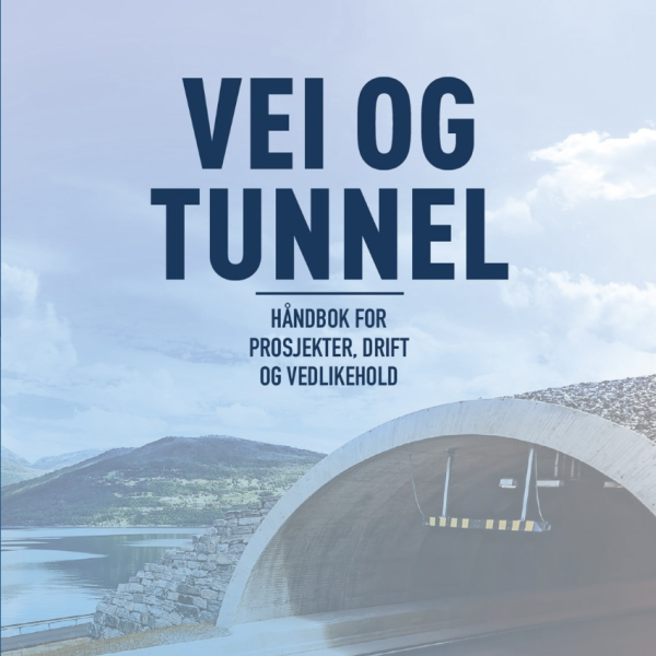 SKjermdump av håndbok for vei- og tunnelprosjekter